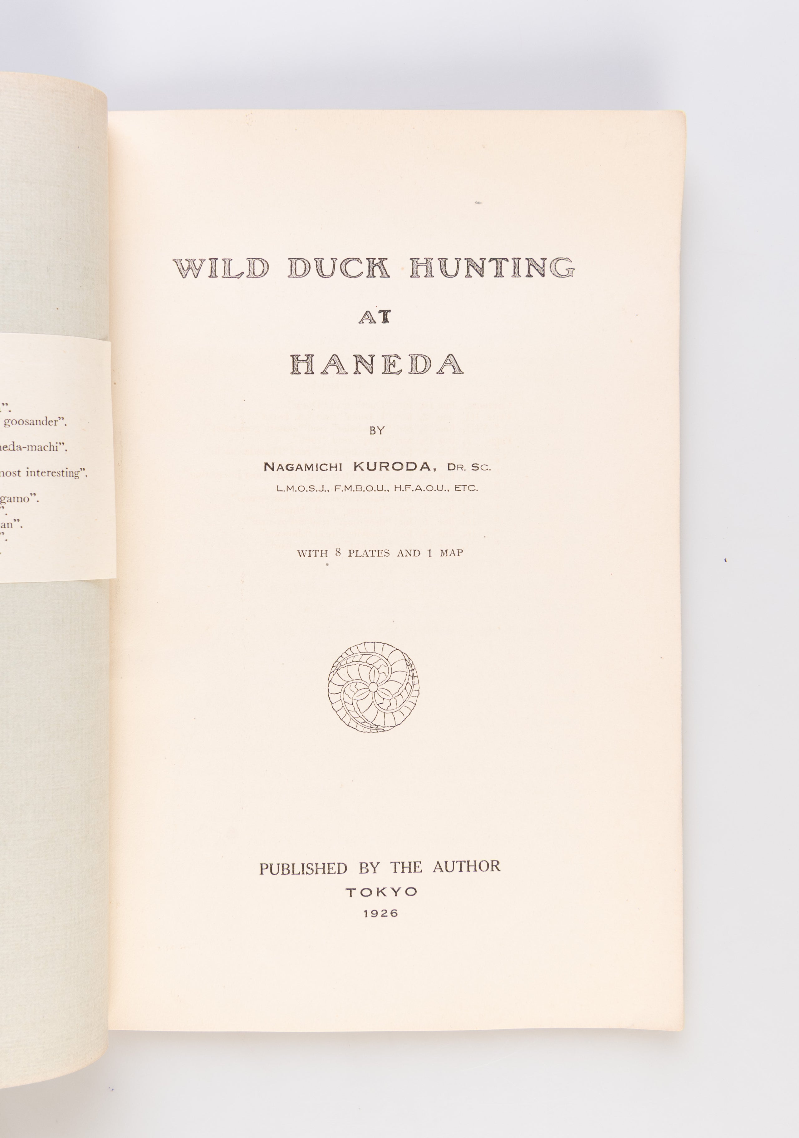 Wild Duck Hunting at Haneda.