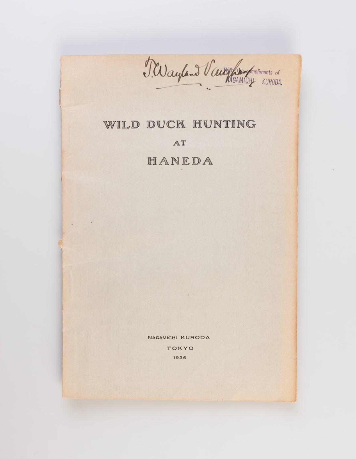 Wild Duck Hunting at Haneda.