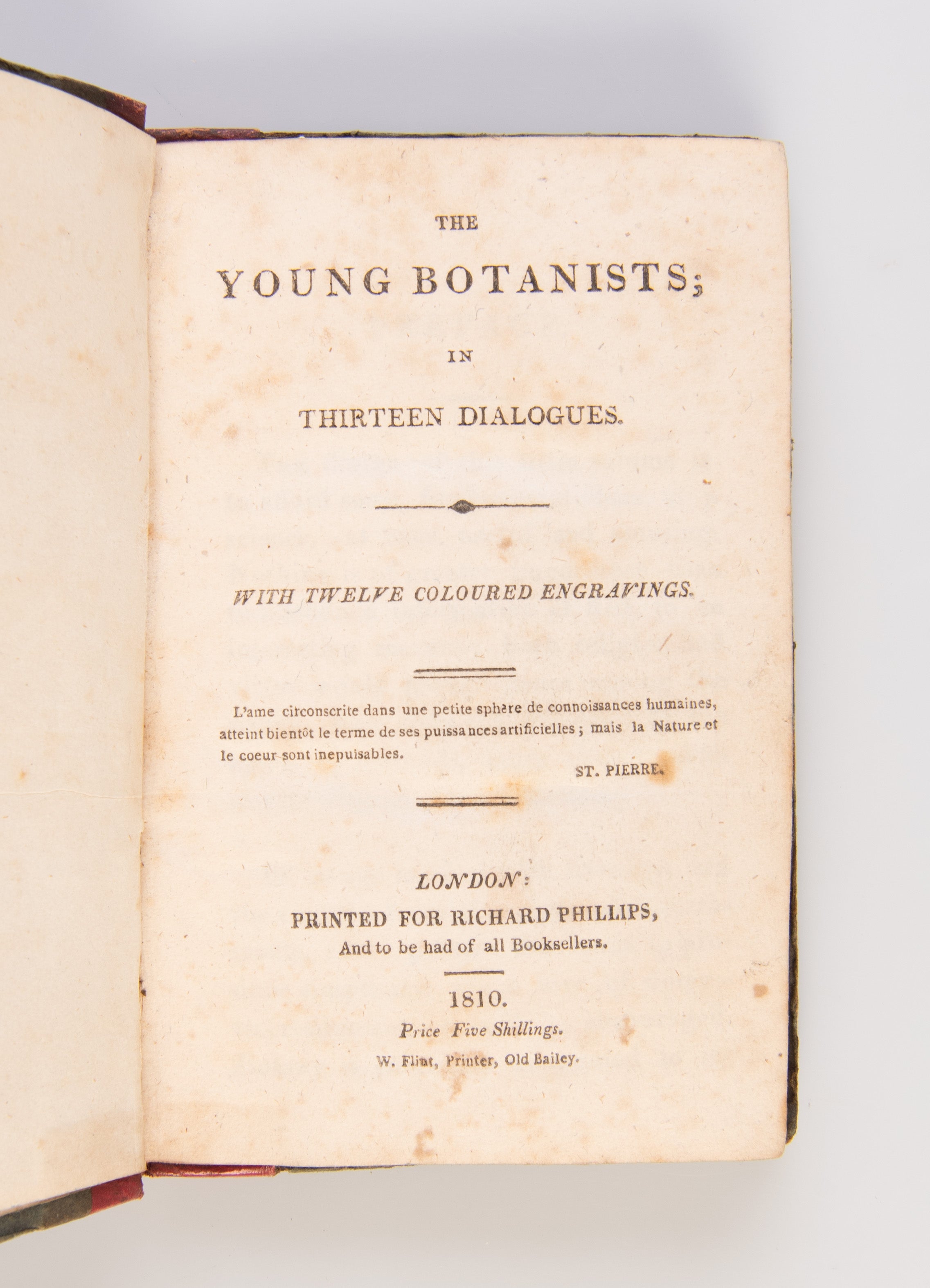 The Young Botanists; in Thirteen Dialogues.