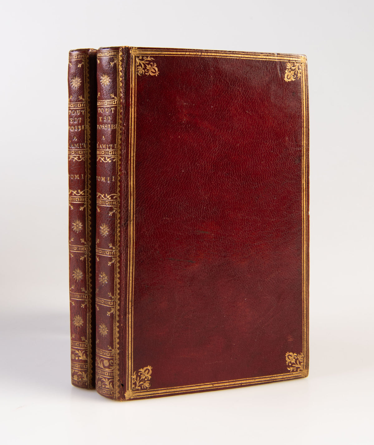 Tout Est Possible a L'Amitié ou Histoire de Milord Love-Rose et de Sophie Mostain.