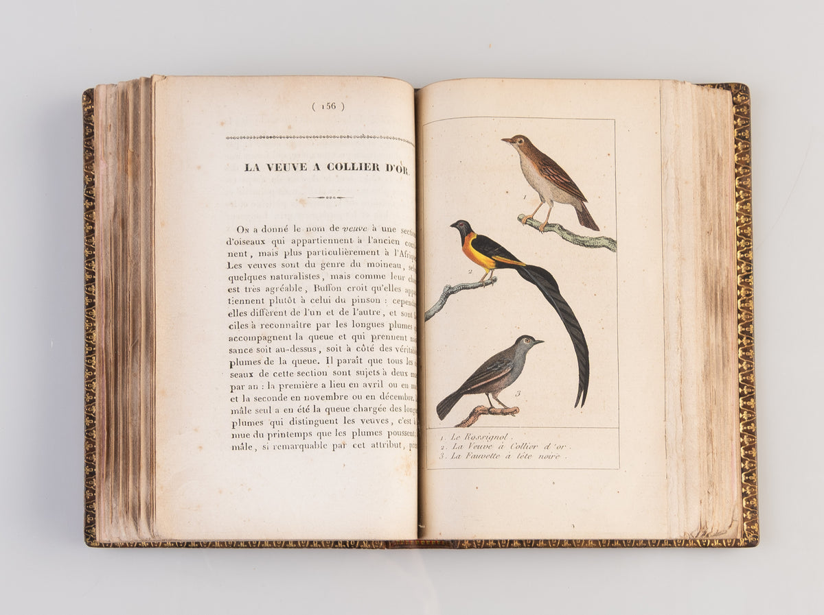 Manuel de l'amateur des oiseaux de chambre contenant la manière de prendre à la Chasse, de nourrir, d'apprivoiser, d'instruire, de multiplier, d'élever, de traiter dans leurs Maladies ...