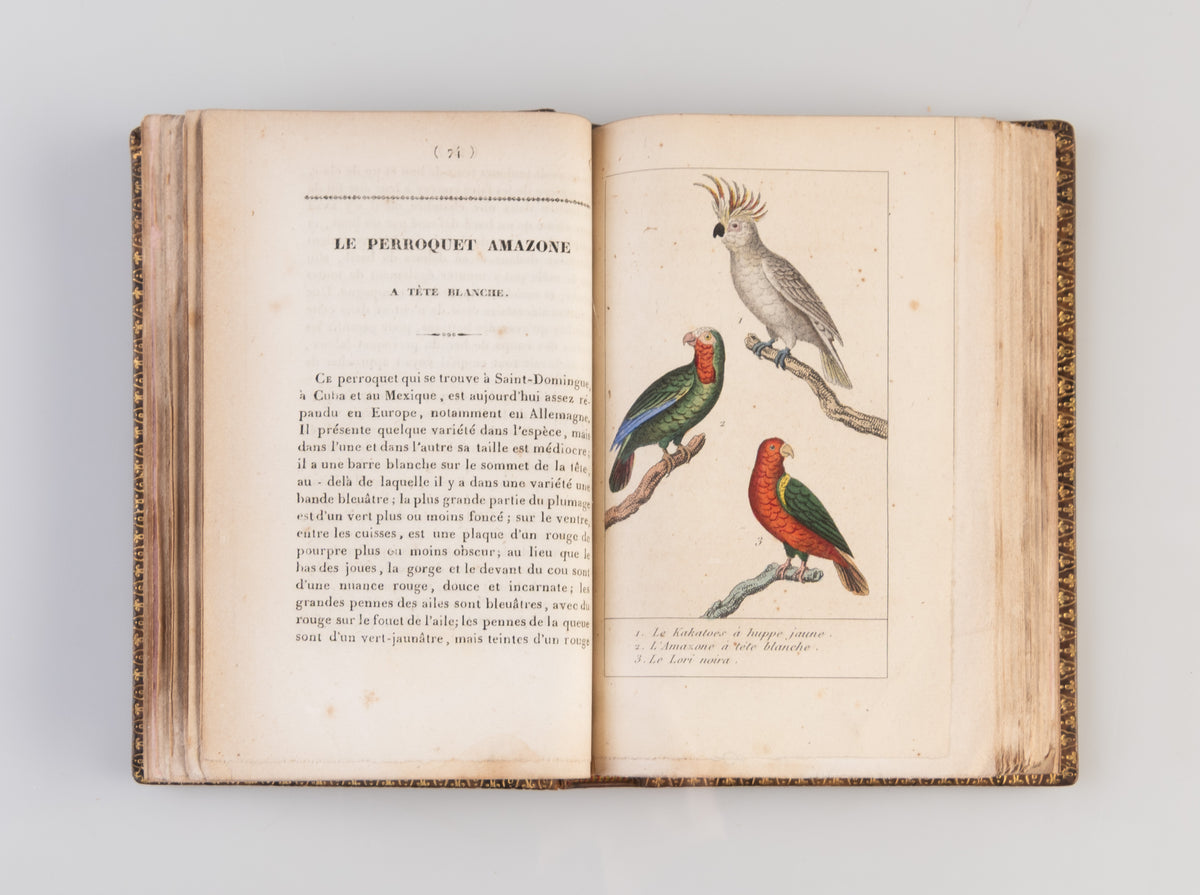 Manuel de l'amateur des oiseaux de chambre contenant la manière de prendre à la Chasse, de nourrir, d'apprivoiser, d'instruire, de multiplier, d'élever, de traiter dans leurs Maladies ...