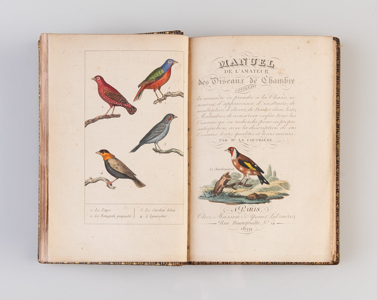 Manuel de l'amateur des oiseaux de chambre contenant la manière de prendre à la Chasse, de nourrir, d'apprivoiser, d'instruire, de multiplier, d'élever, de traiter dans leurs Maladies ...