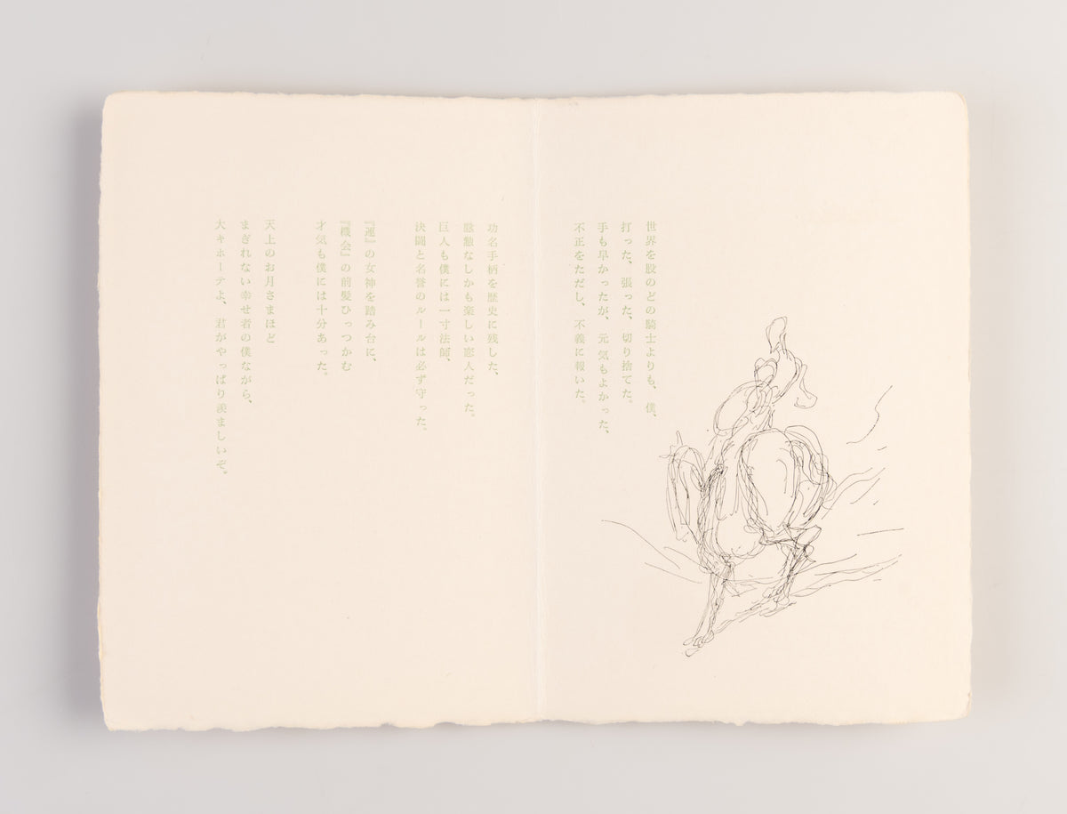 Shinpan don kihote [New edition of Don Quixote]