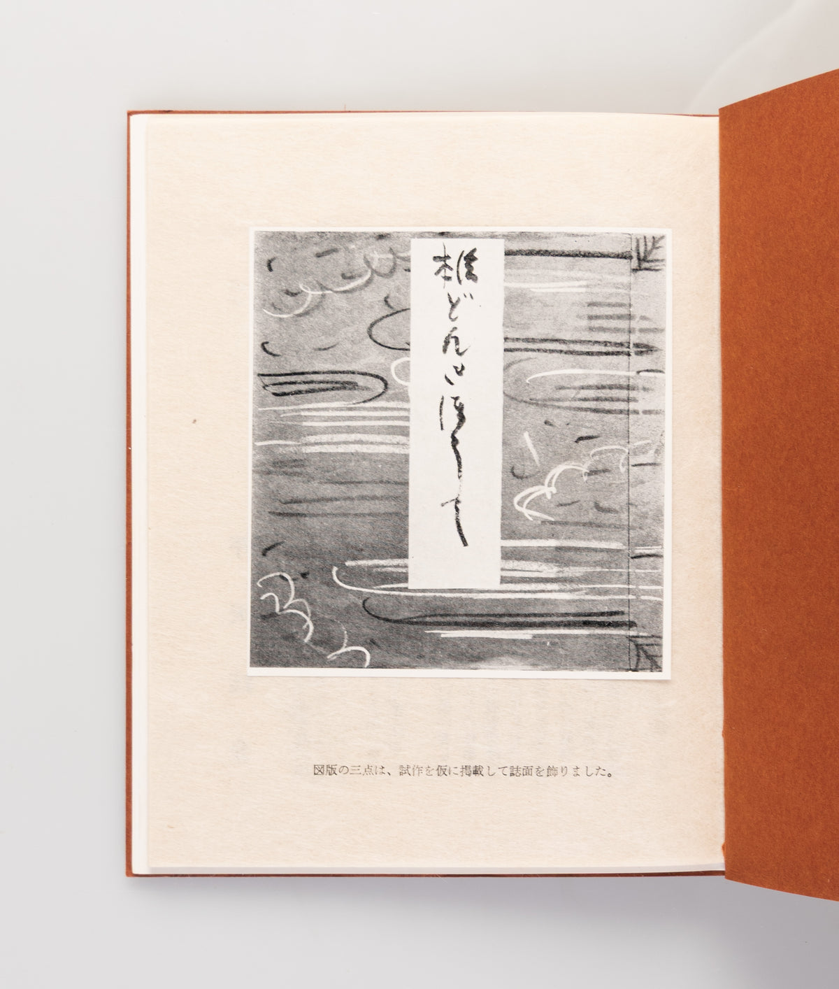 Shinpan don kihote [New edition of Don Quixote]