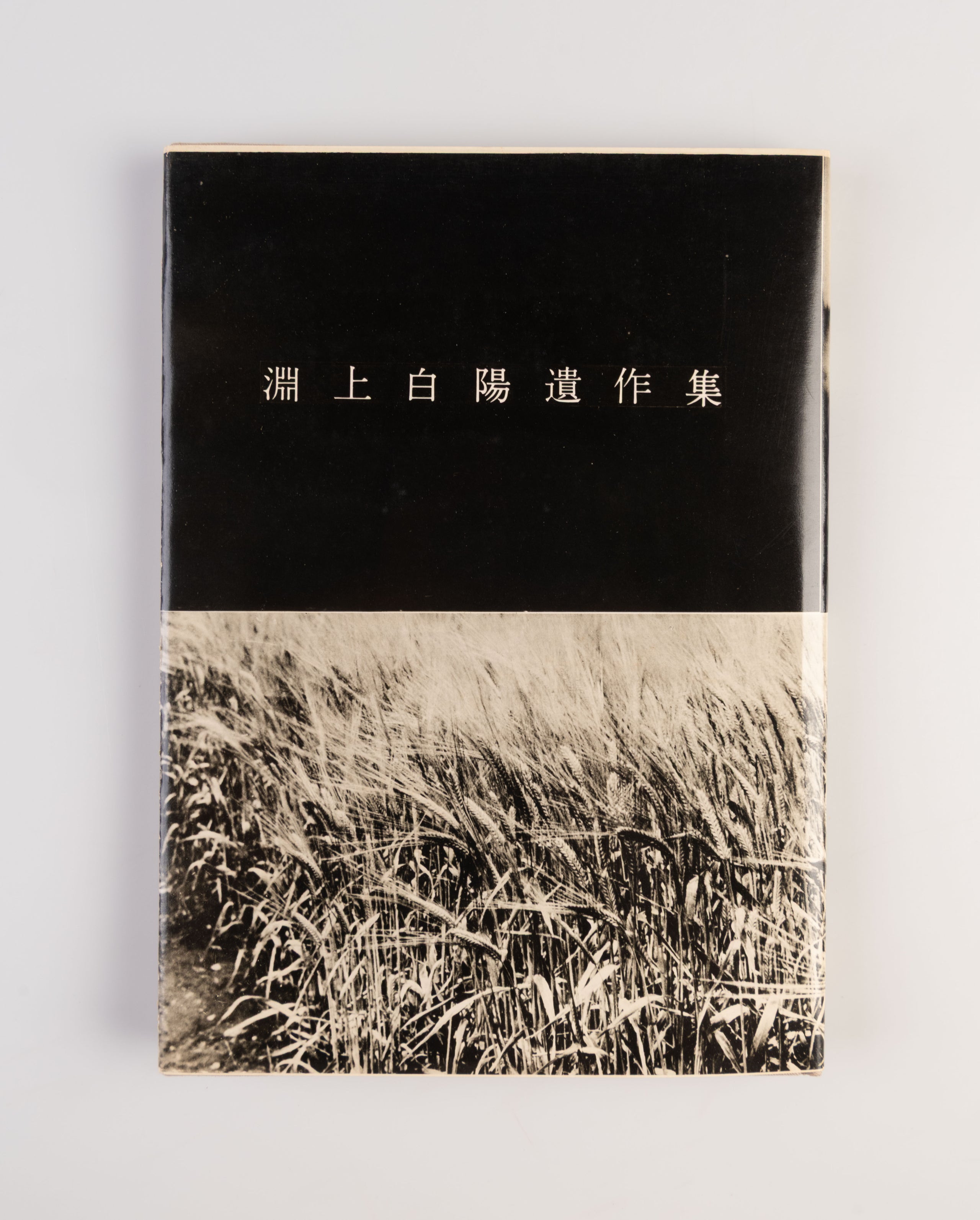 Fuchikami Hakuyo Isakushu. [A posthumous book of Fuchikami Hakuyo].
