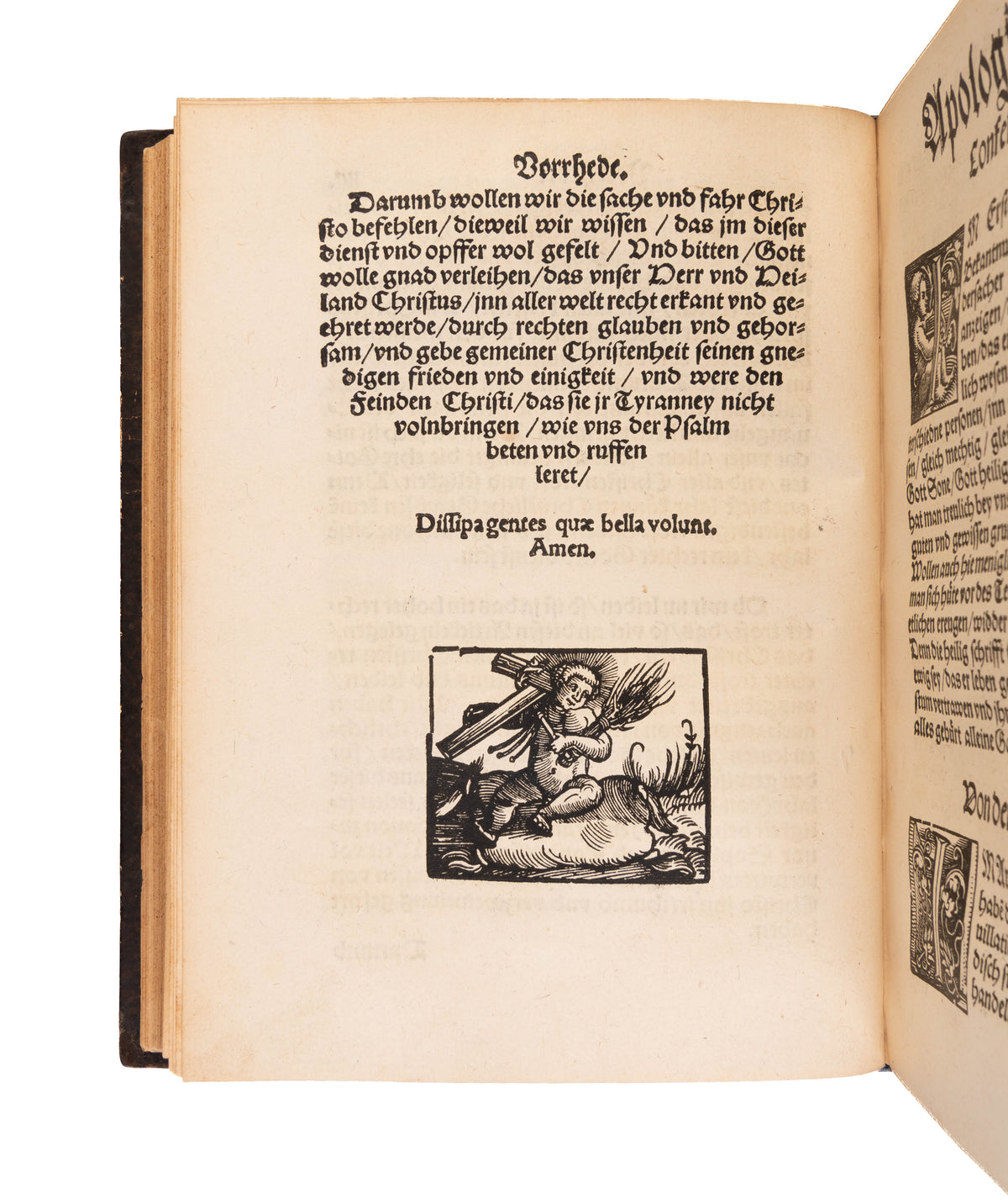 Confessio oder Bekantnus des Glaubens etlicher Fürsten und Stedte: Uberantwort Keiserlicher Maiestat auff dem Reichstag gehalten zu Augsburg. Anno M.D.XXX.