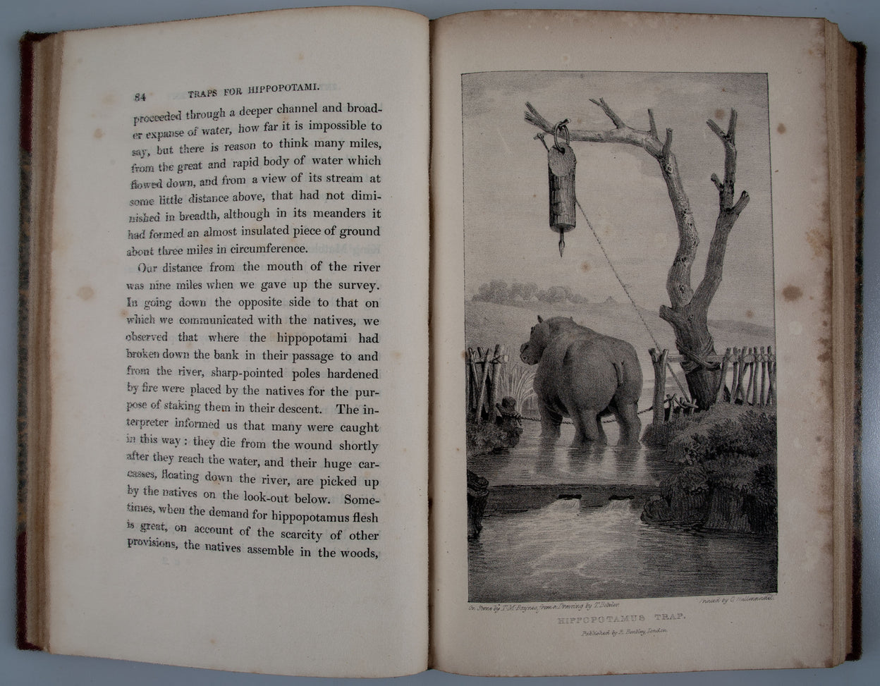 Narrative of a Voyage of Discovery to Africa and Arabia