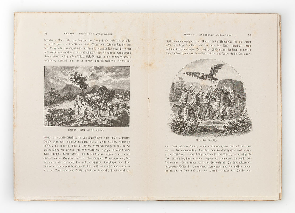 Von der Capstadt ins Land Der Maschukulumbe.