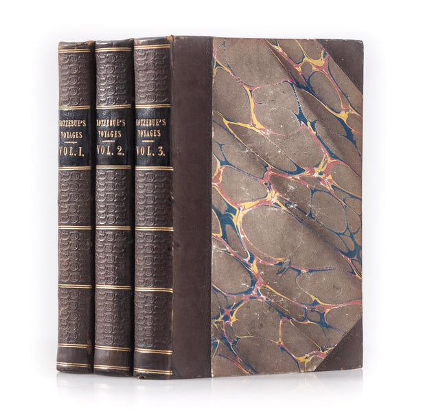 A Voyage of Discovery into the South Seas and Beering's Straits,