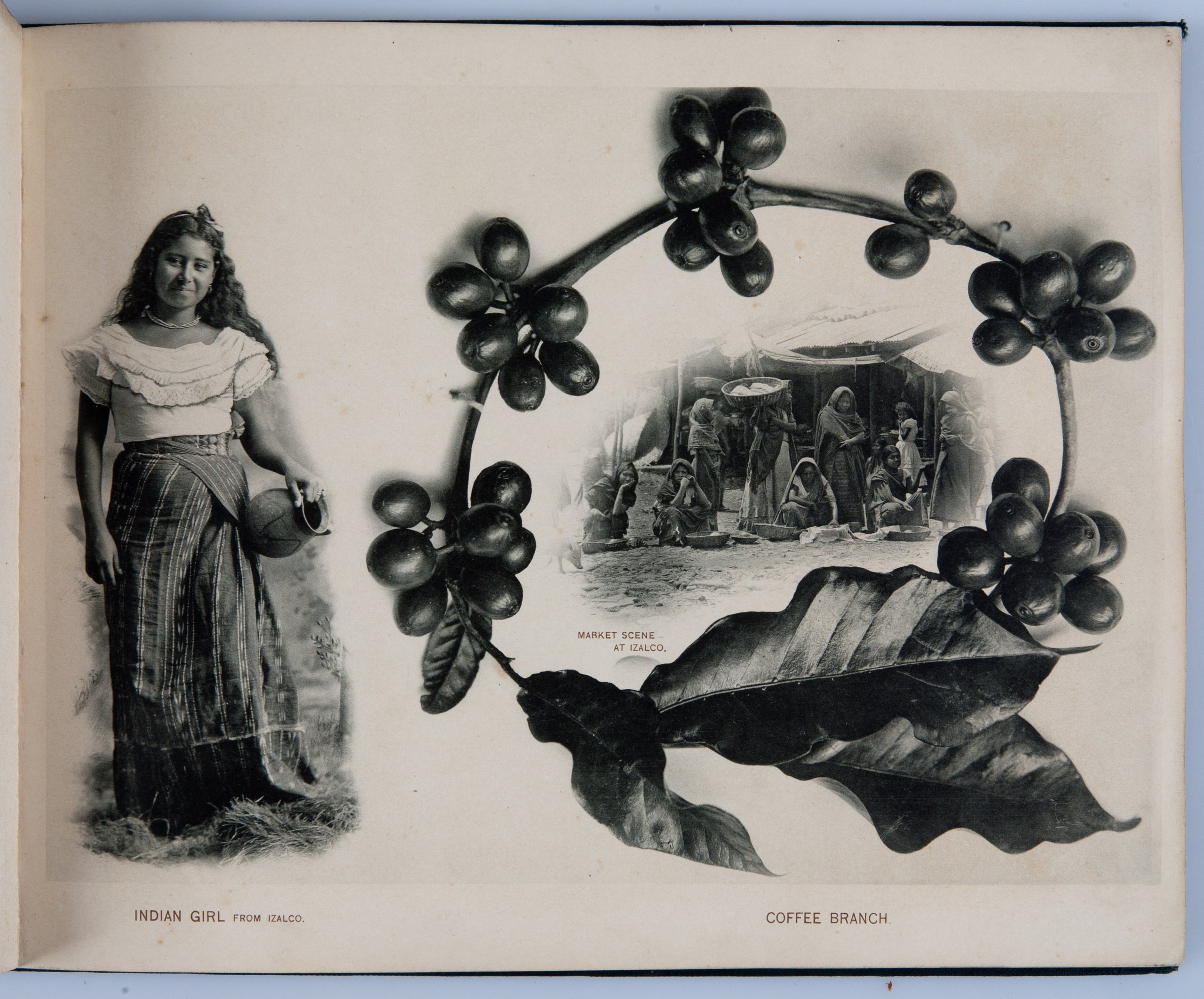 Glimpses of Salvador