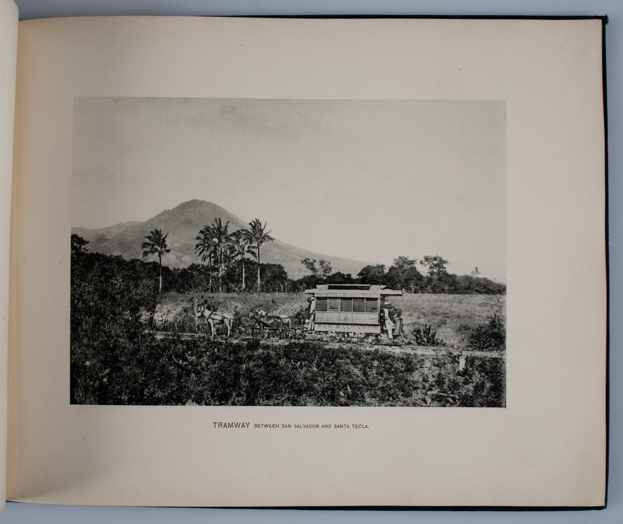 Glimpses of Salvador