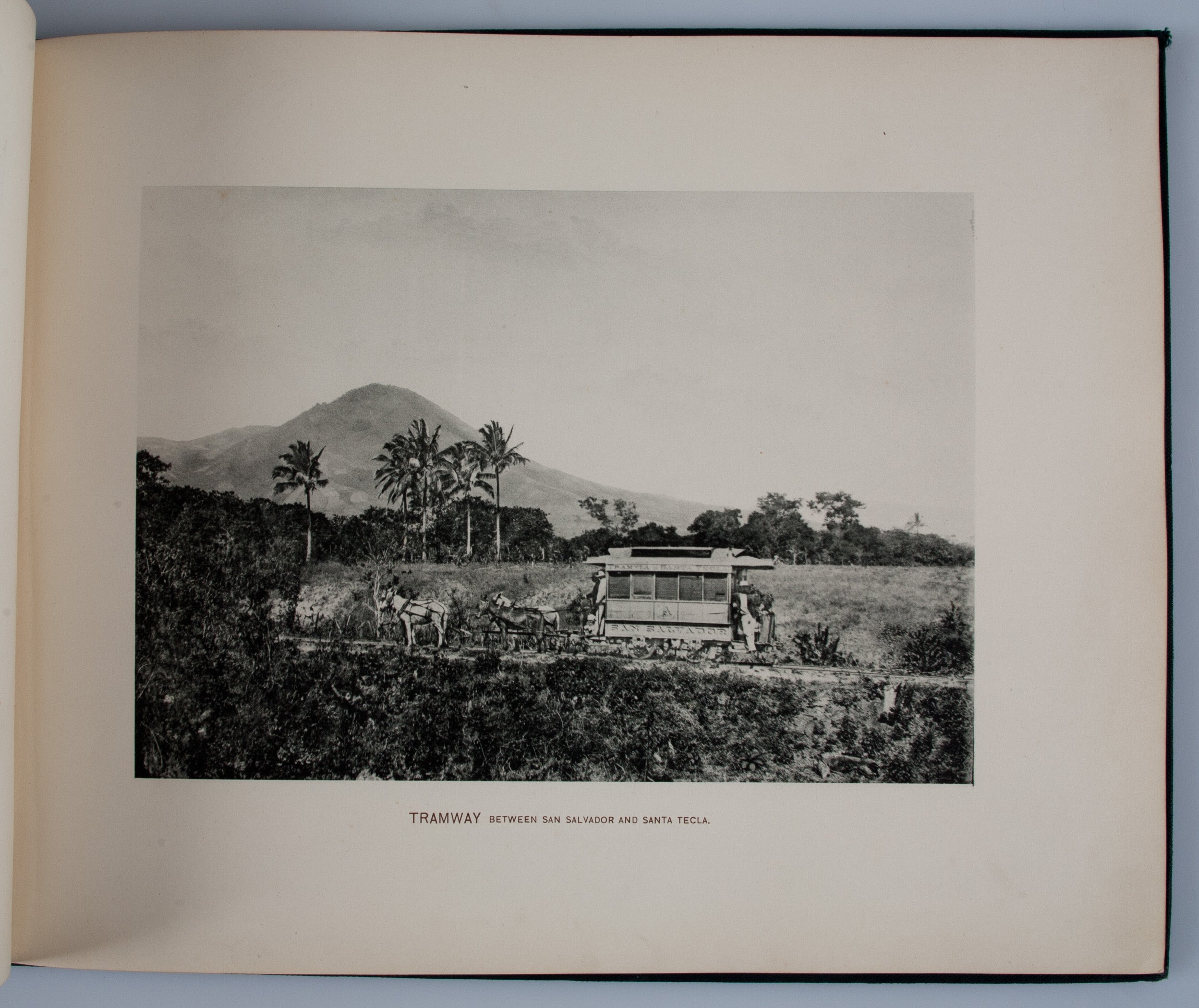 Glimpses of Salvador
