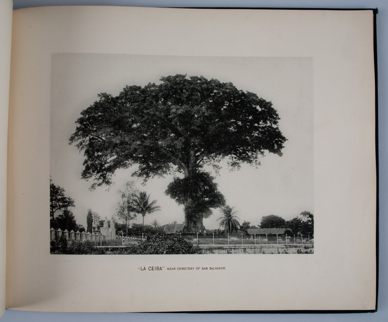 Glimpses of Salvador