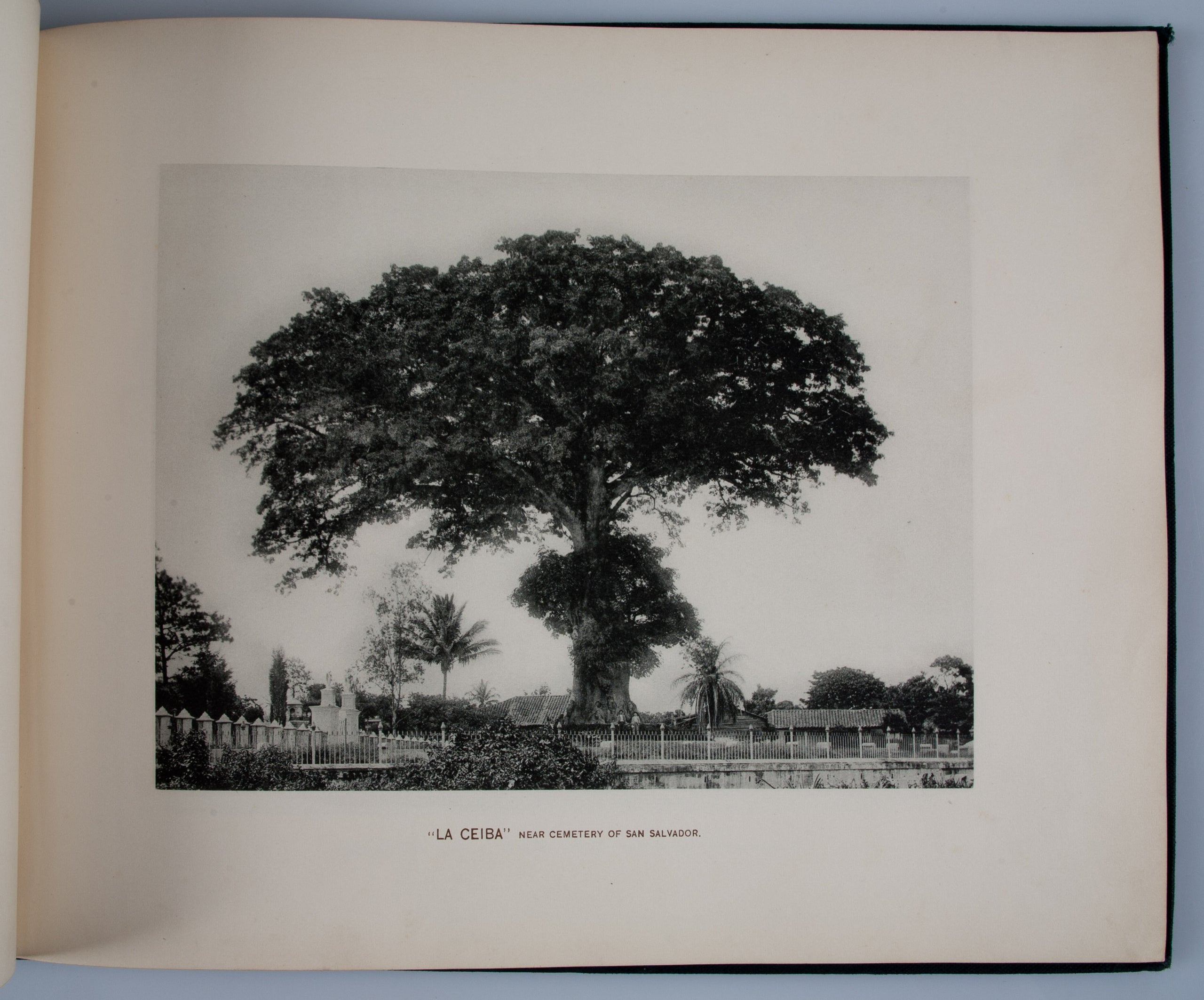 Glimpses of Salvador