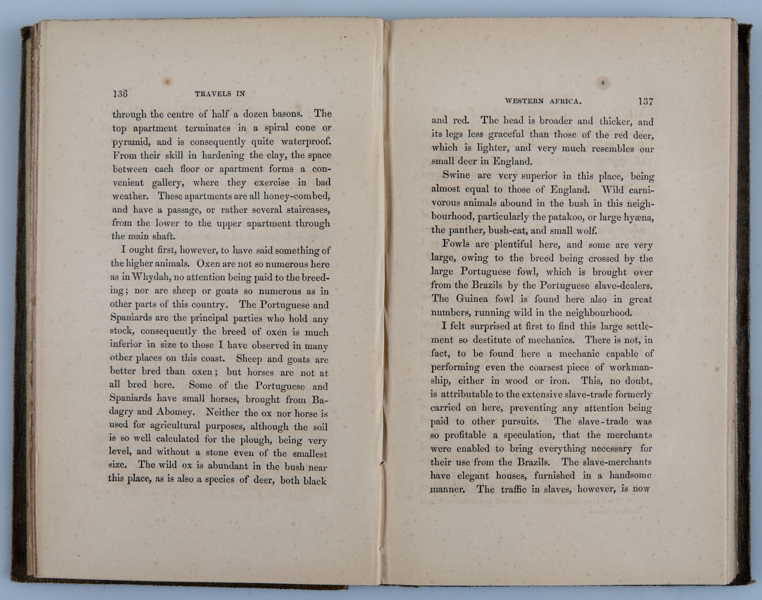 Travels in Western Africa in 1845 & 1846,