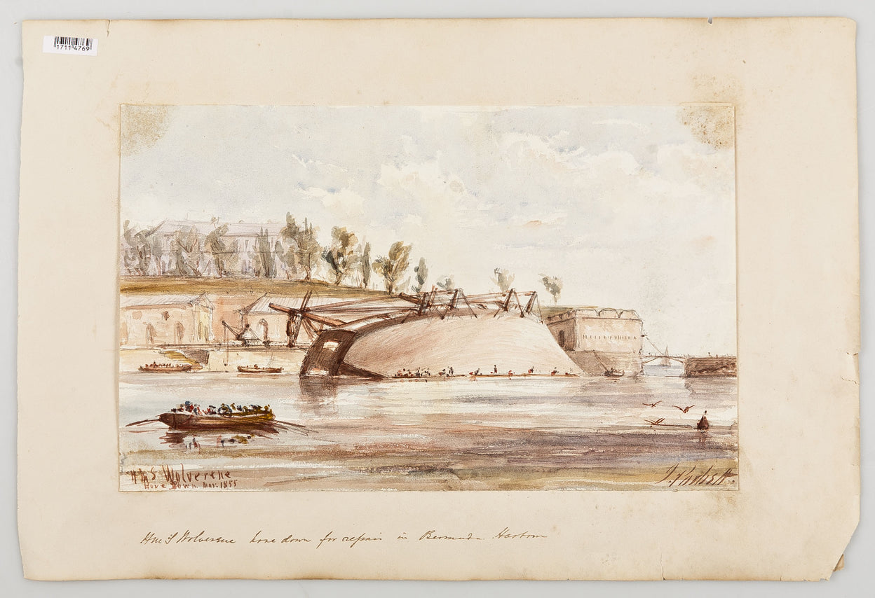 Fourteen views of the Caribbean