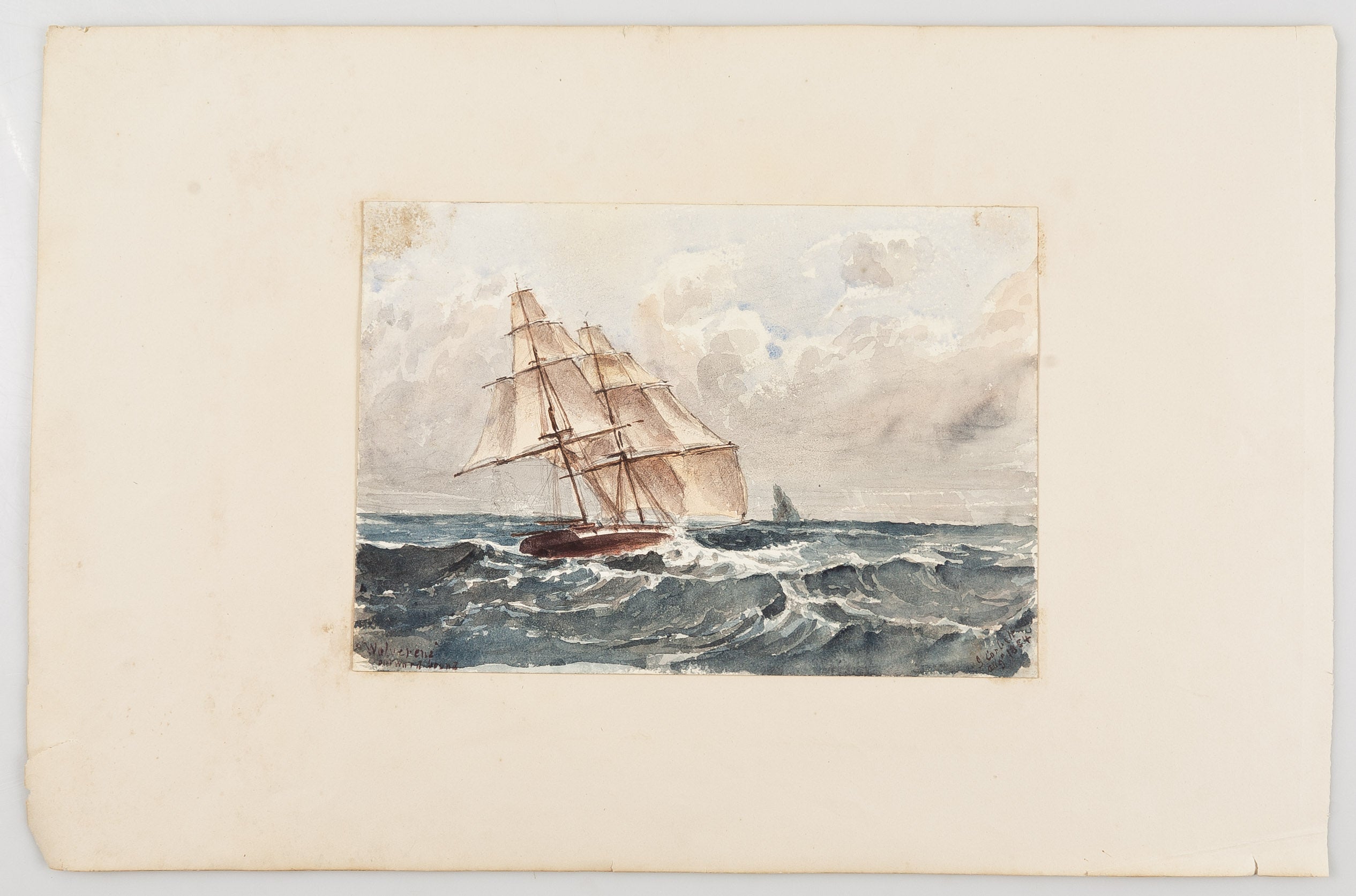 Fourteen views of the Caribbean