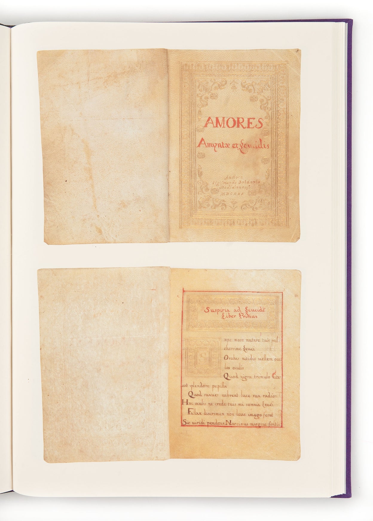 The Amores of Sigismondo Boldoni A Manuscript from Queen Christina's Library with an introduction by John Sparrow.