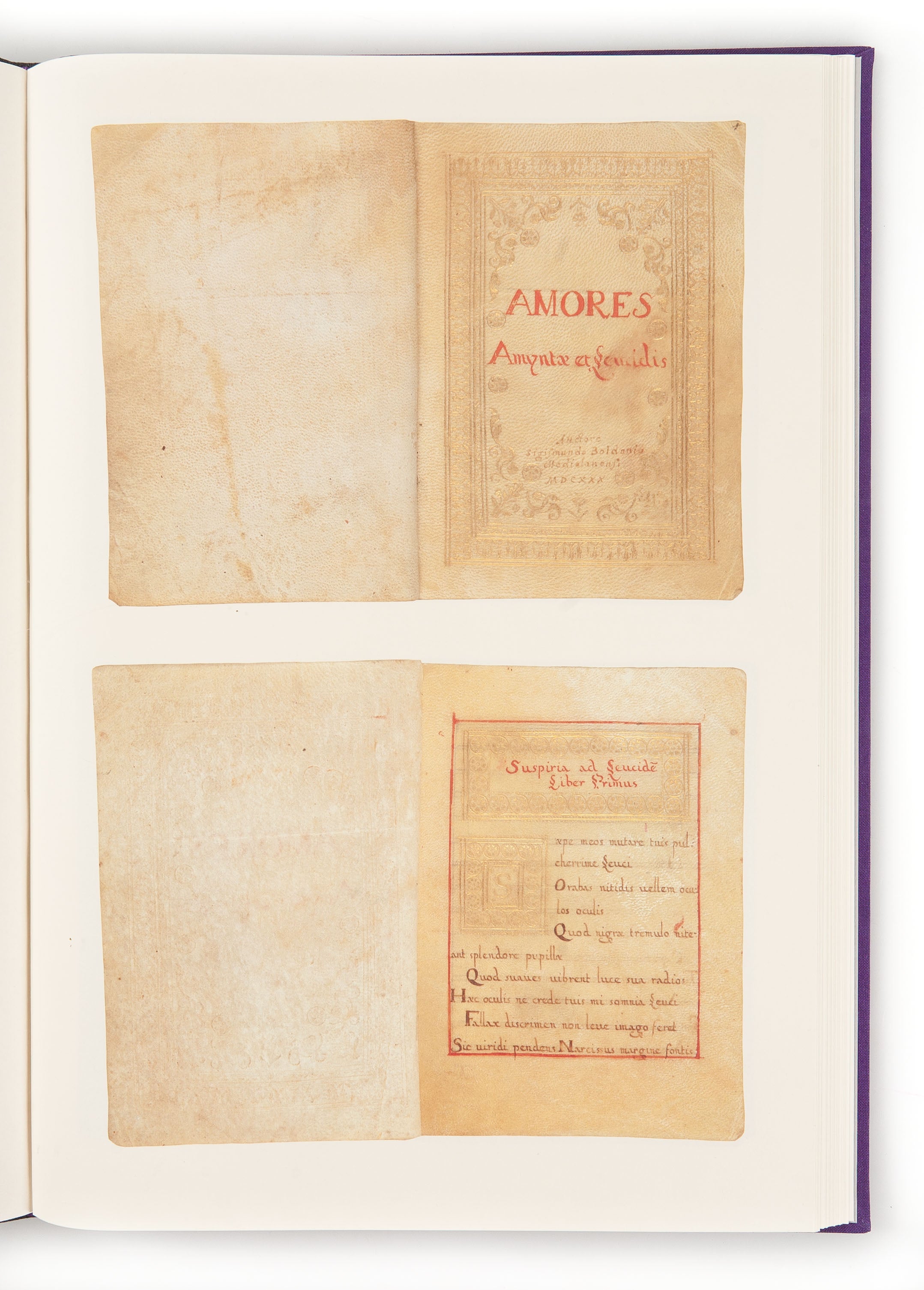 The Amores of Sigismondo Boldoni A Manuscript from Queen Christina's Library with an introduction by John Sparrow.