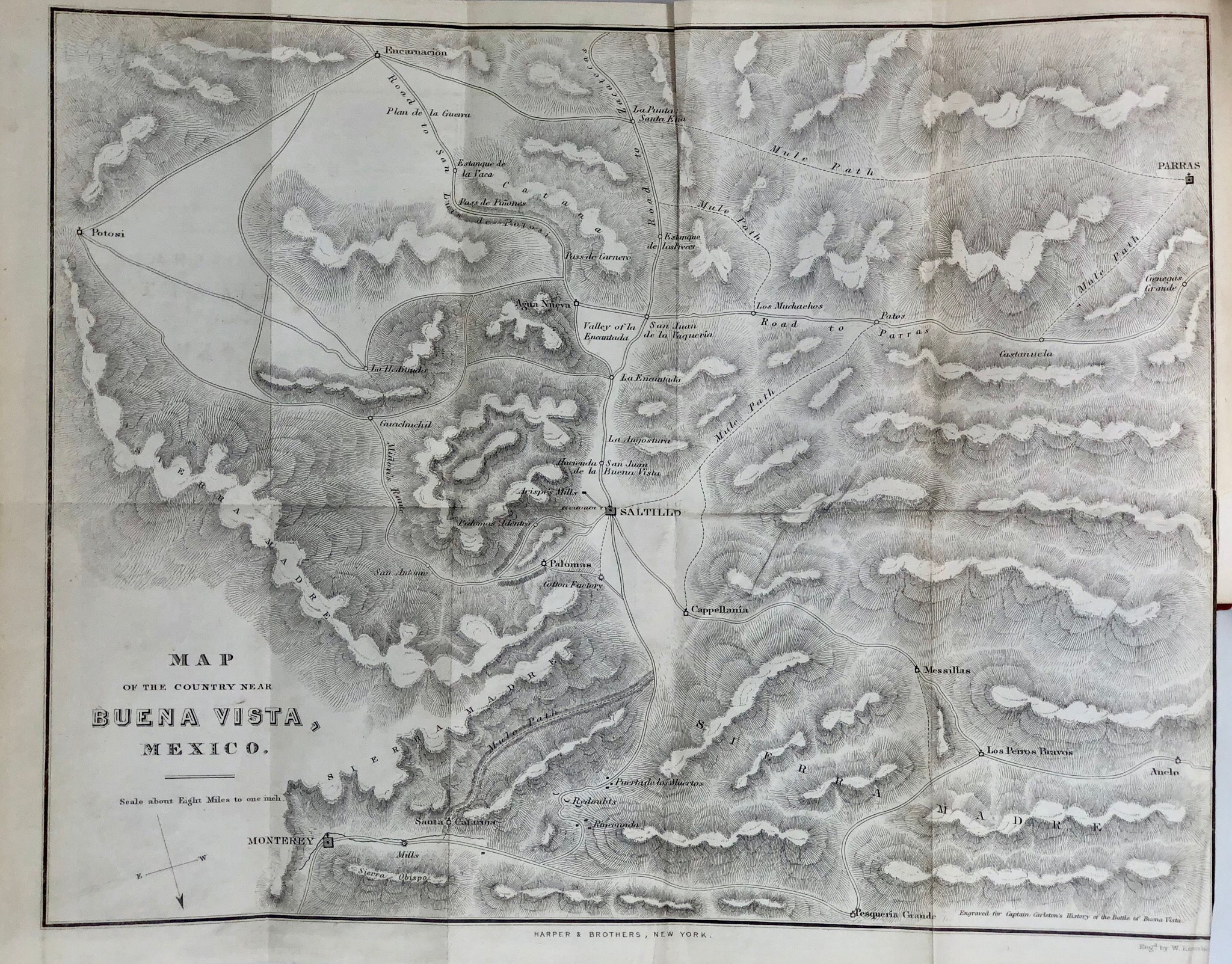 The Battle of Buena Vista,