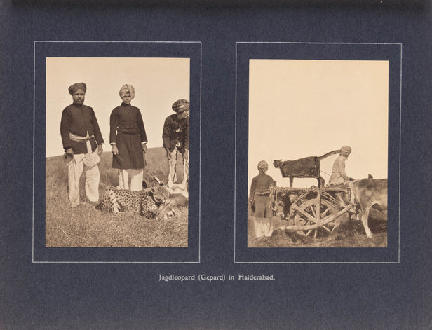 Erinnerungen an meine Reise nach Indien.