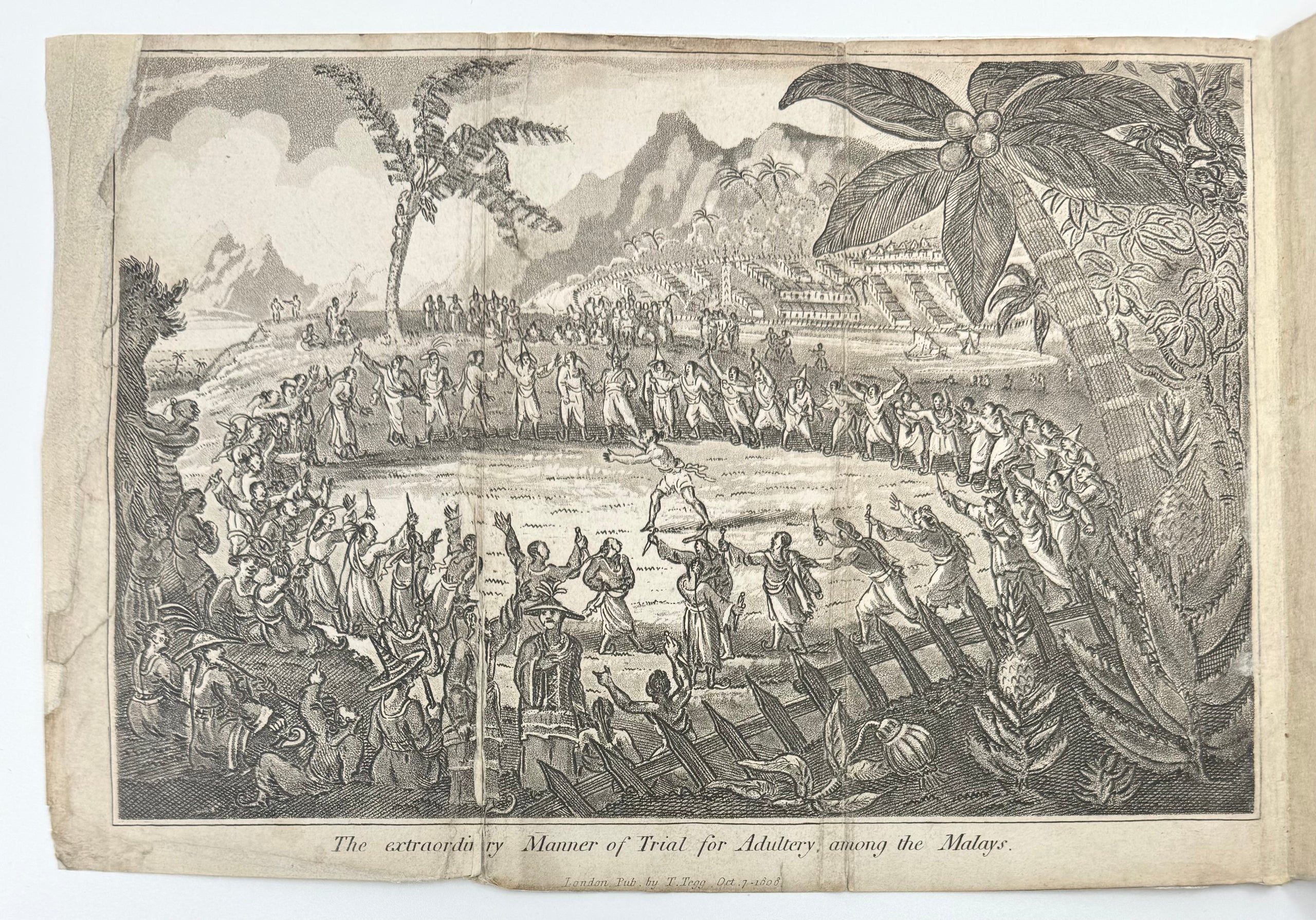 Adventures of Captain Robert Johnson in the Northern Circars of India, where he officiated as Judge Advocate and Chaplain; including a Variety of Extraordinary Anecdotes,