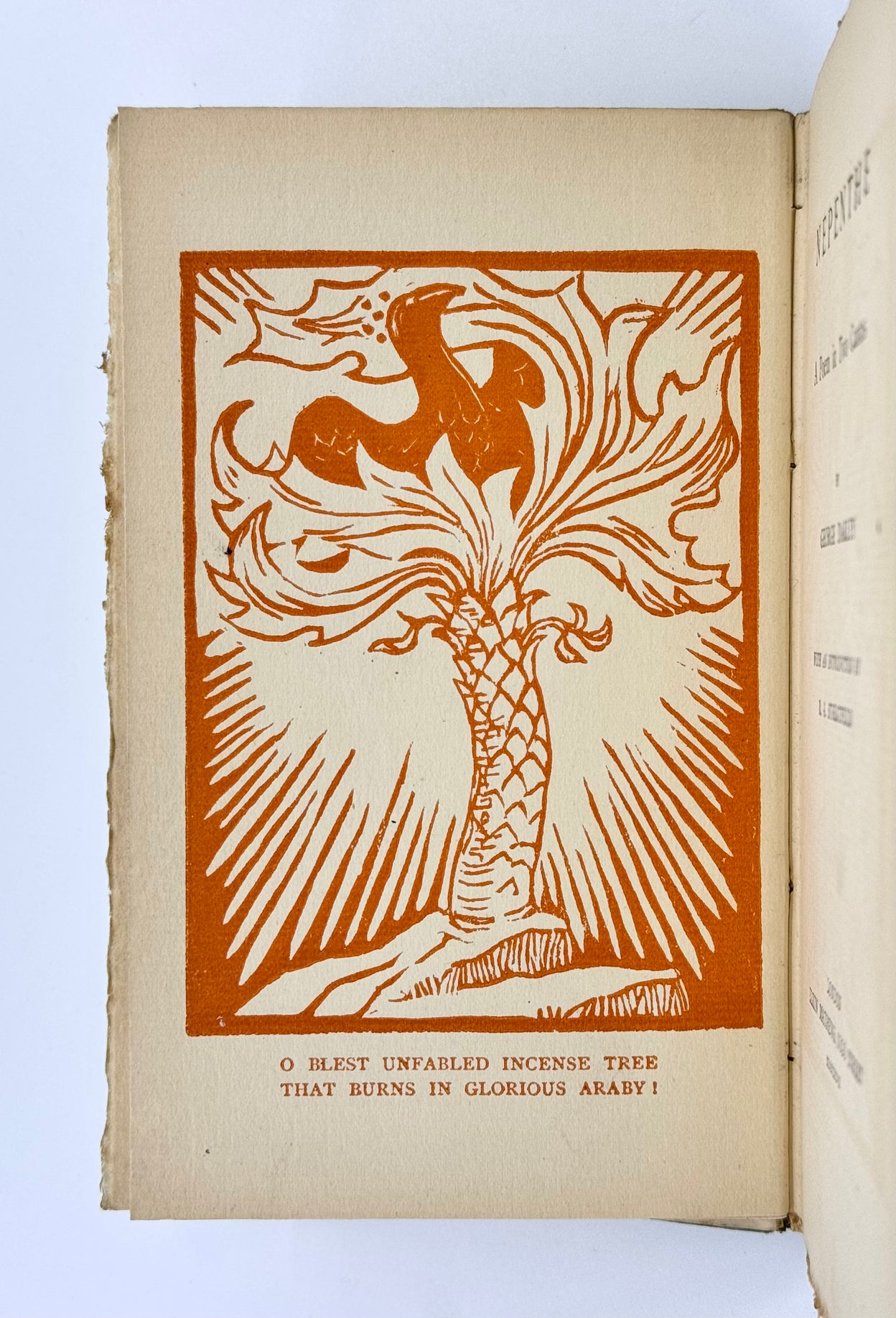 Nepenthe. A Poem in Two cantos.