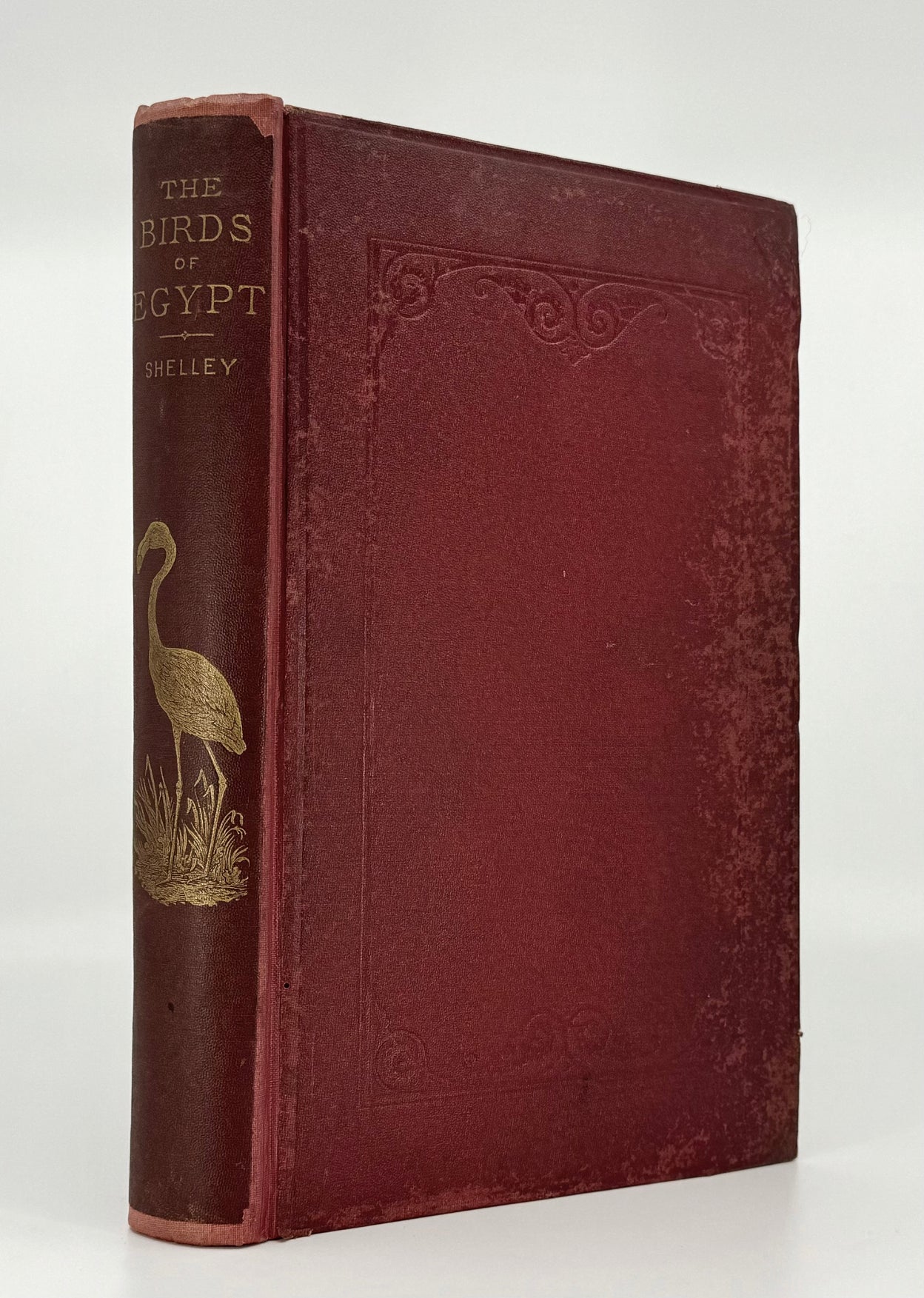 A Handbook to the Birds of Egypt.
