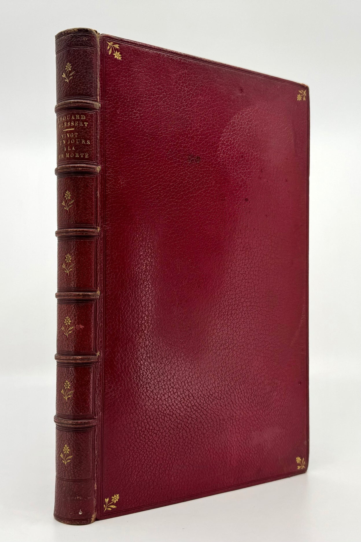 Vingt et un jours à la Mer Morte. À Madame *** [Eugénie Breidenbach].