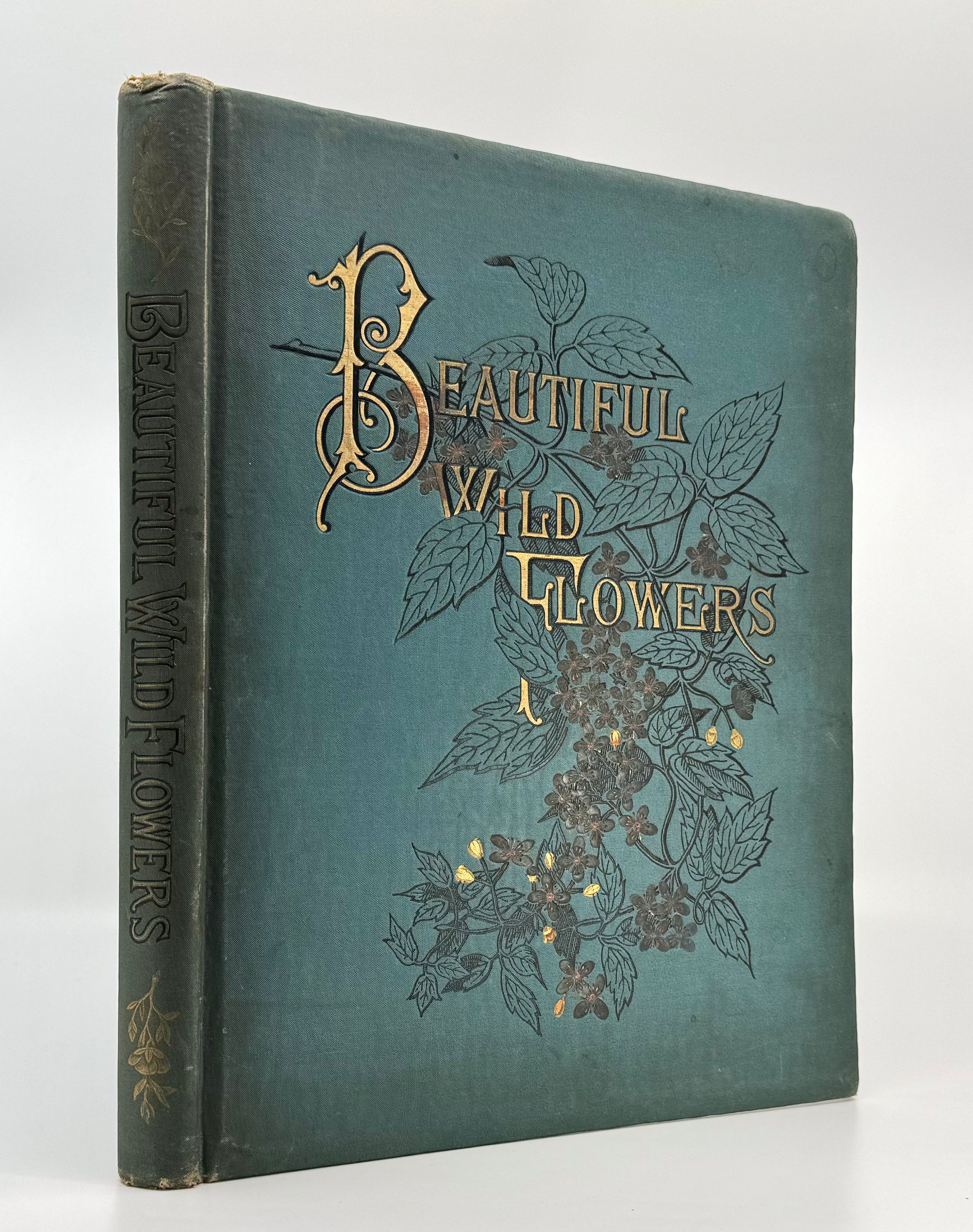 Beautiful Wild Flowers of America. From original Water-Color Drawings after Nature, by Isaac Sprague.