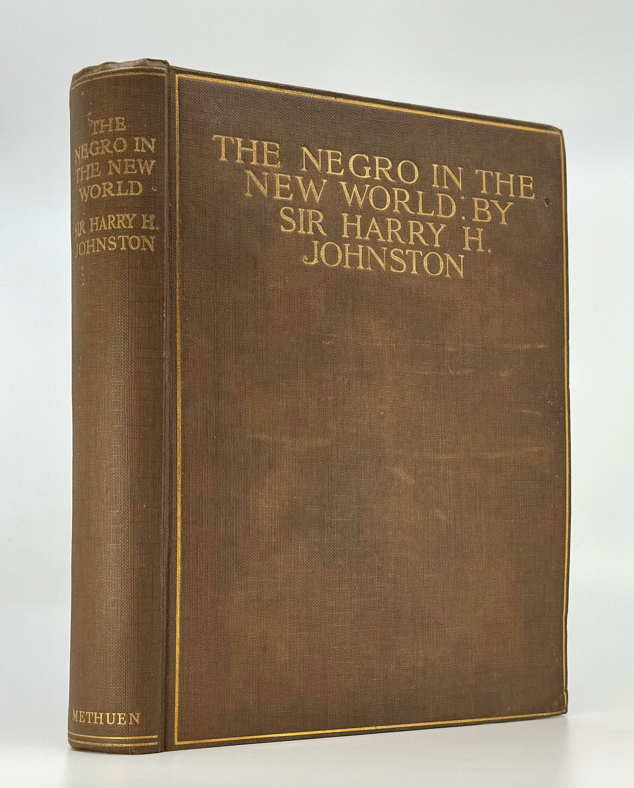 The Negro in the New World.