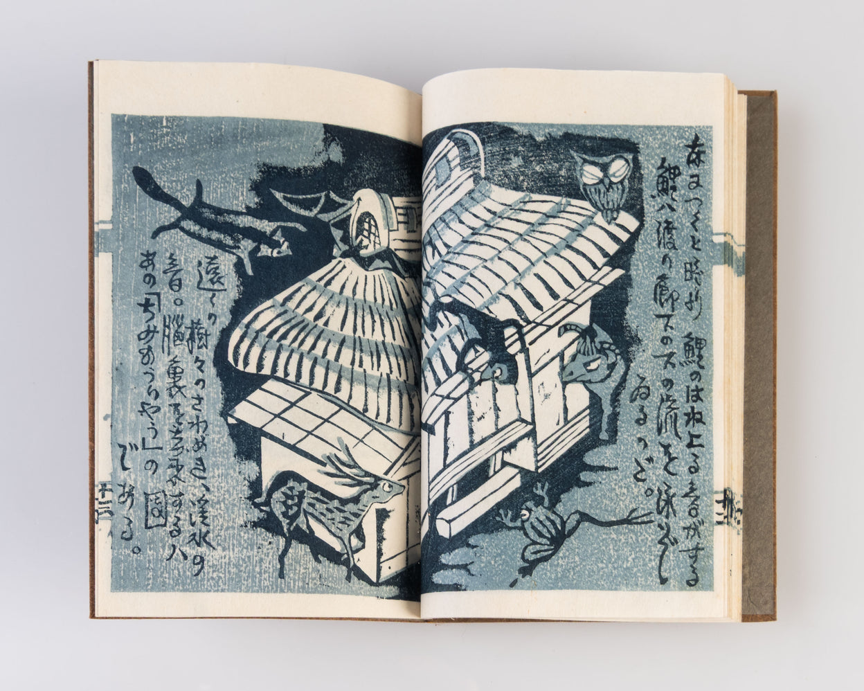 Hida yuki [Travels in Hida].