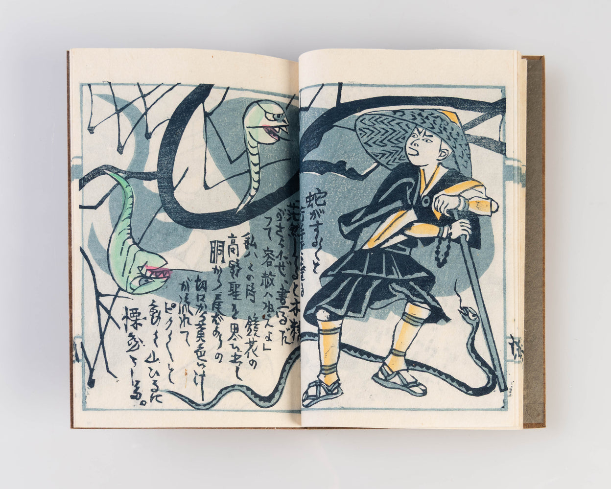 Hida yuki [Travels in Hida].