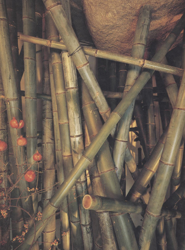 Take [Bamboo].
