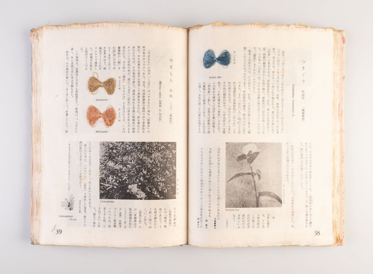 Nihon kuzakizome fu [Japanese plant dyeing manual] / Monograph of Plant-Dyeing Peculiar to Japan