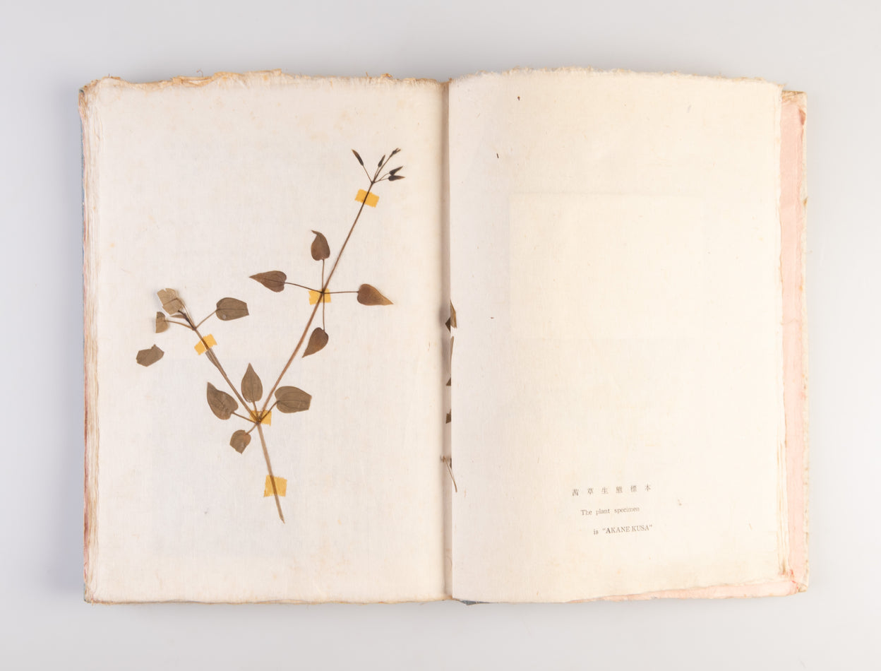 Nihon kuzakizome fu [Japanese plant dyeing manual] / Monograph of Plant-Dyeing Peculiar to Japan
