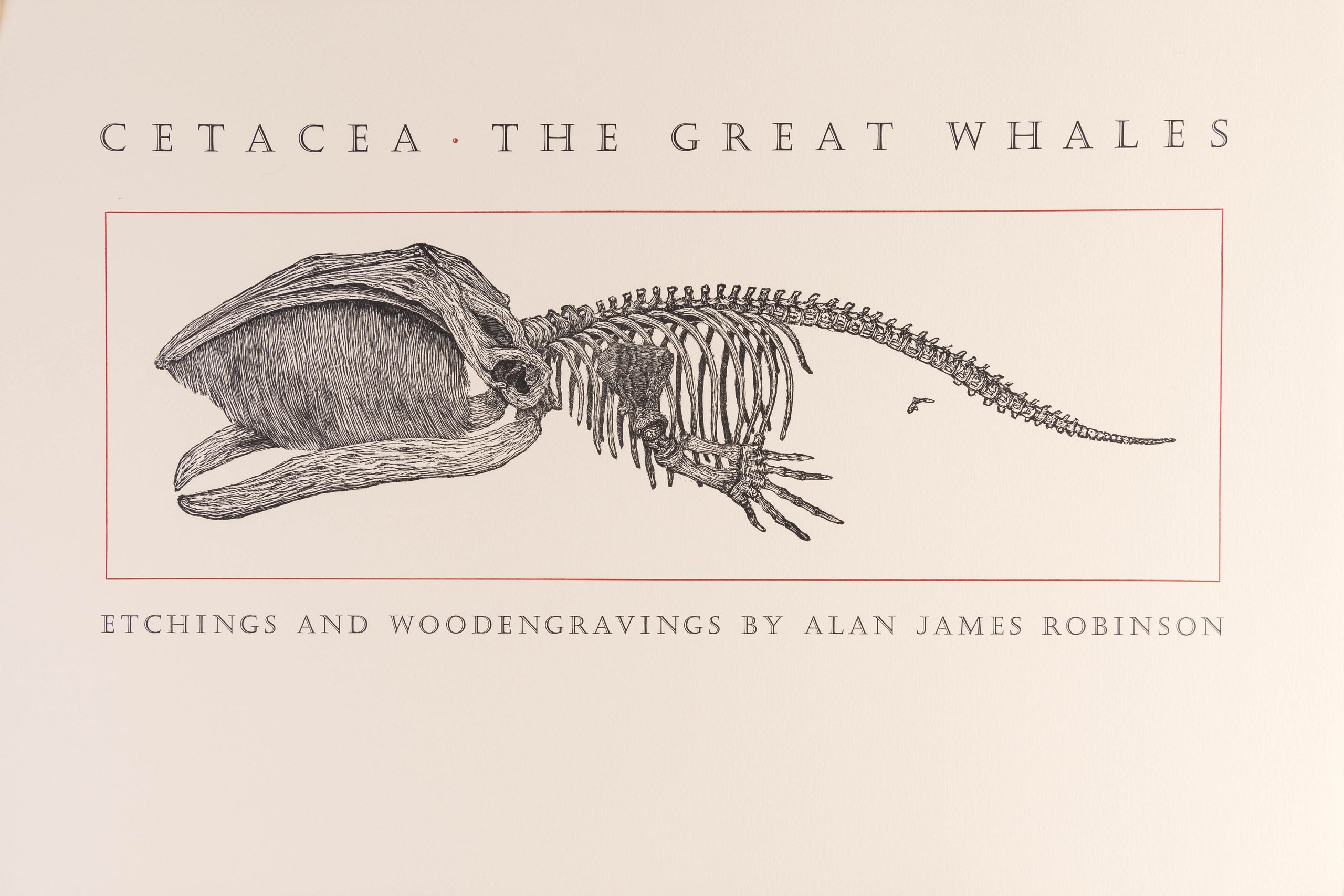 Cetacea: The Great Whales