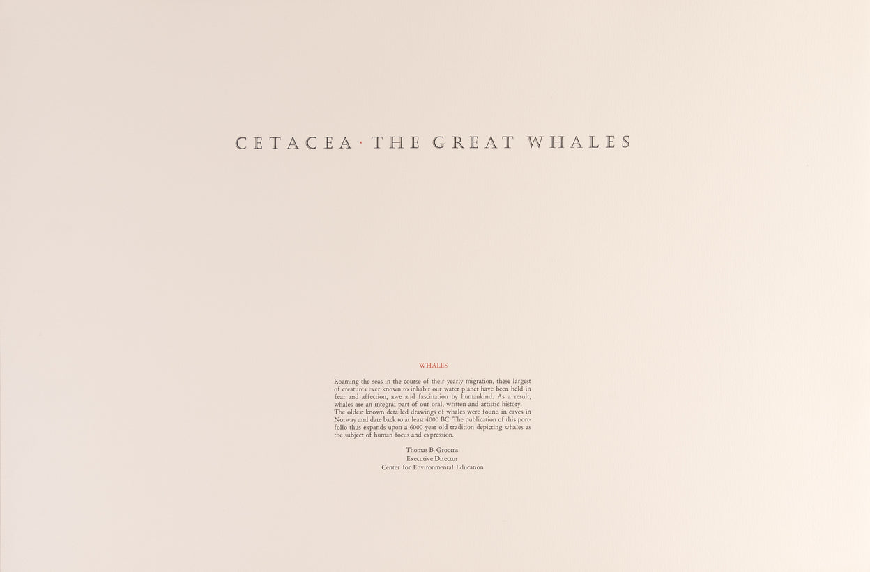 Cetacea: The Great Whales