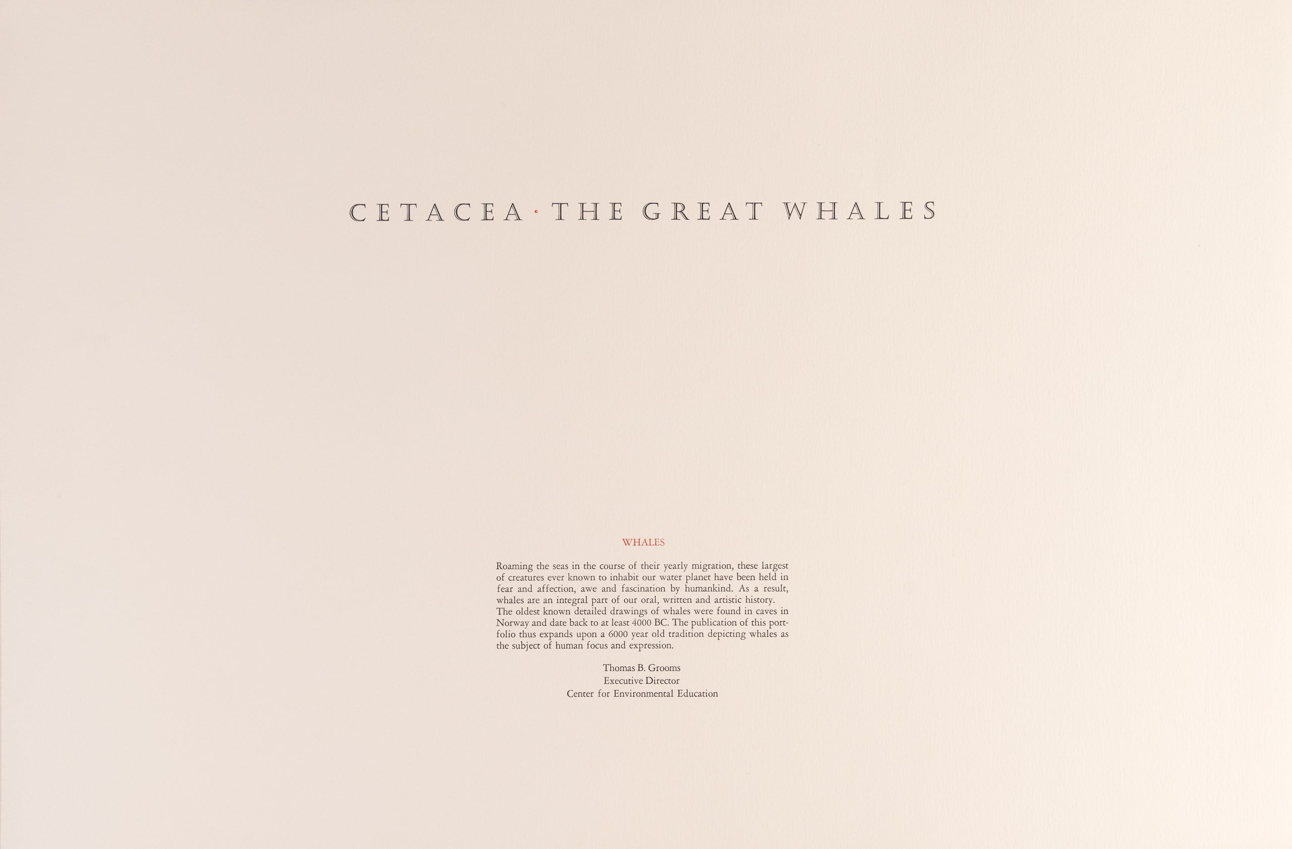 Cetacea: The Great Whales