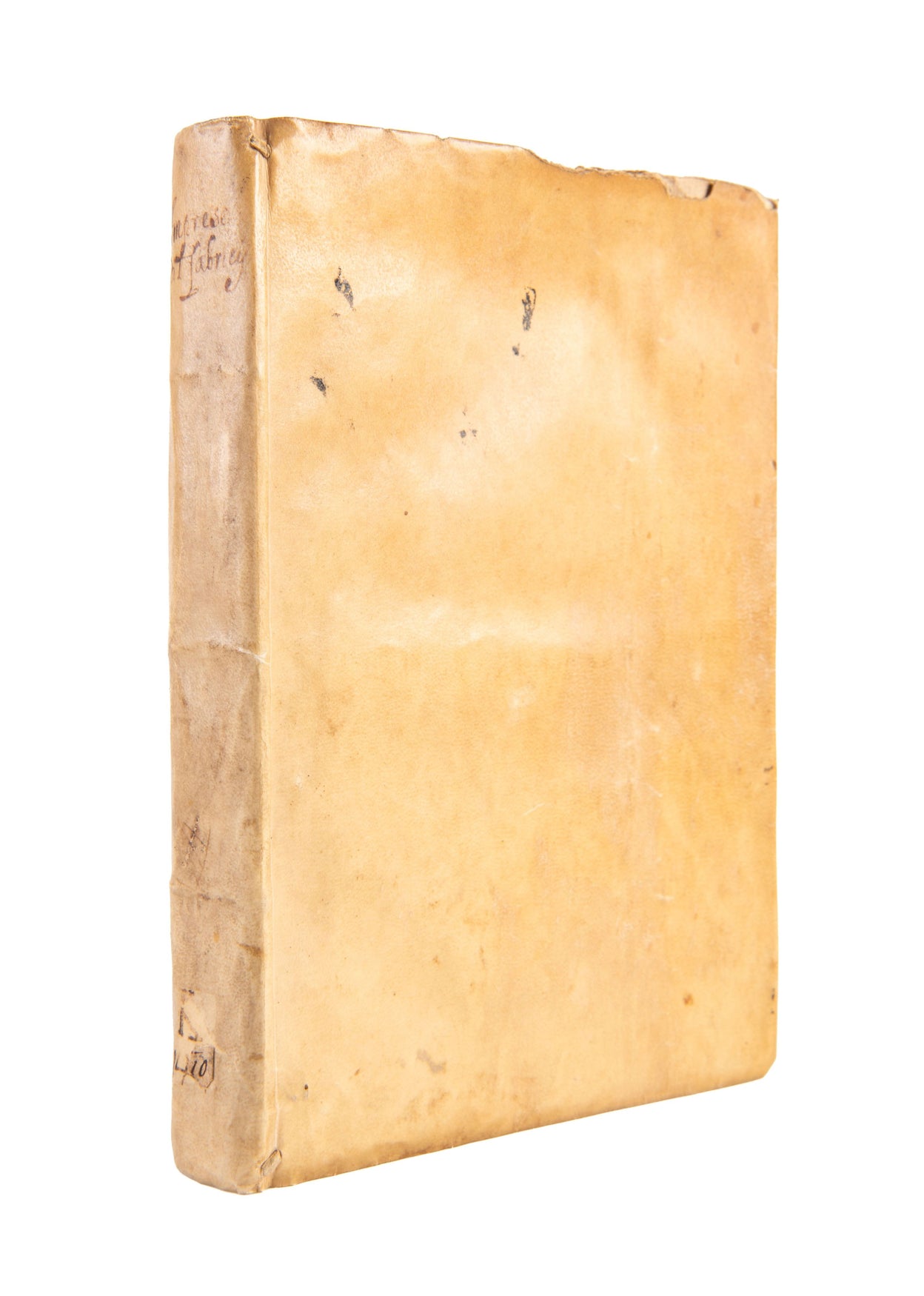 Delle allusioni, imprese, et emblemi sopra la vita, opere, et attioni di Gregorio. XIII. pontefice massimo libri vi.
Rome, Bartolomeo Grassi, 1588